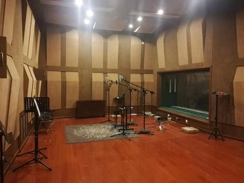 長沙尊韻傳媒有限公司,湖南影視配樂,湖南宣傳片配樂,湖南廣告配樂